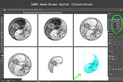 Phoenix Dragon YinYang Vector Logo, a Decorative Illustration by Suvham Roy (Thumbnail 2 of 6)