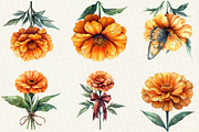 Marigold Flower Bloom Clipart, an Illustration by OK Design (Thumbnail 4 of 5)