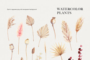 Dry boho grass and herbs watercolor, a Decorative Illustration by Volha Studio (Thumbnail 7 of 13)