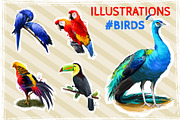 Tropical Birds SET, Exotic Species, an Animal Illustration by Dneprstock (Thumbnail 1 of 10)