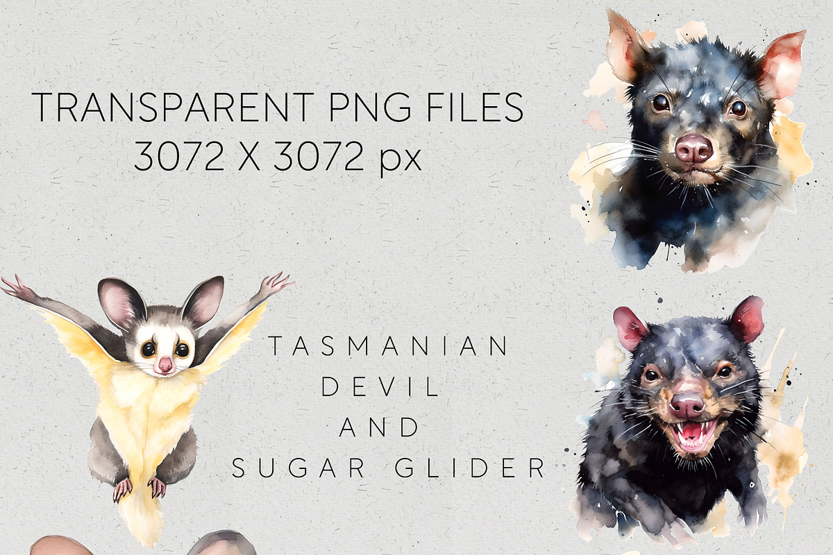 Bulk Australian Animals Clipart PNG, an Animal Illustration by Pawcasso's Portraits (Photo 4 of 10)