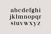 Meganfolk Elegant Serif Family, a Serif Font by UICreative (Thumbnail 6 of 26)