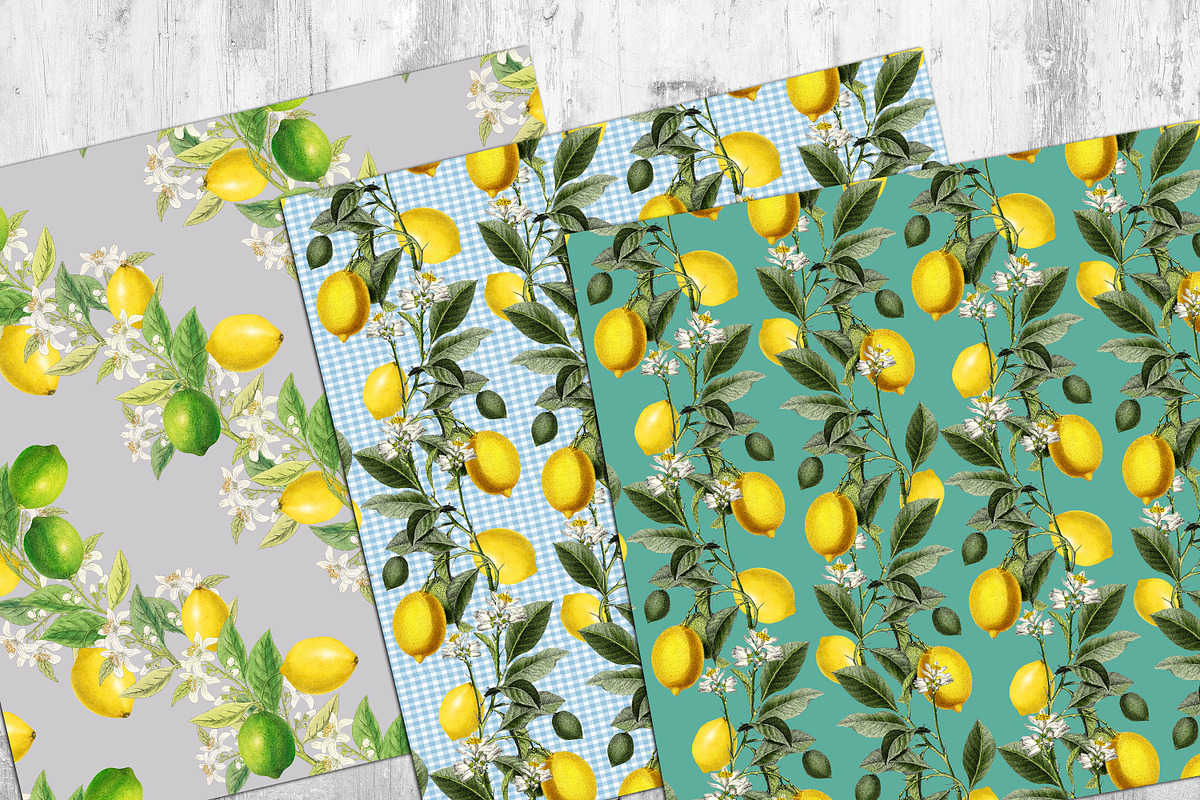 Lemon Pattern Papers, a Pattern Graphic by NastiaDesignsPrints (Photo 5 of 7)