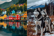 278 Nordic Lifestyle images, a Nature Photo by Handmadefont (Thumbnail 4 of 25)