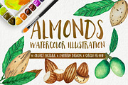 Almonds Watercolors Illustration, an Illustration by andypray (Thumbnail 1 of 5)