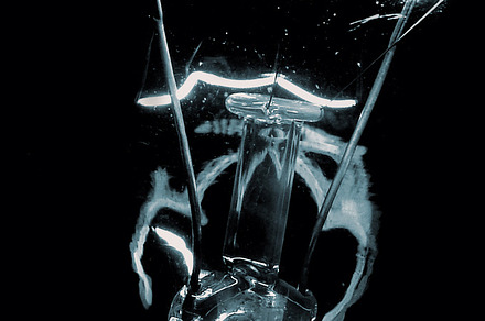 Light Bulb abstract, an Industrial Photo by G.P.J. Media
