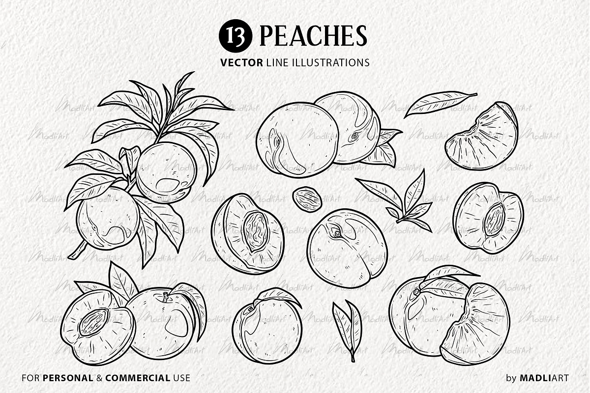 Peach SVG Clipart Fruit Set, a Food Illustration by MadliArt (Photo 3 of 4)
