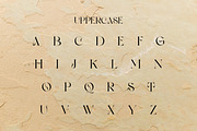 Tears of Joy | Display Serif, a Serif Font by Muntab_Art (Thumbnail 8 of 9)