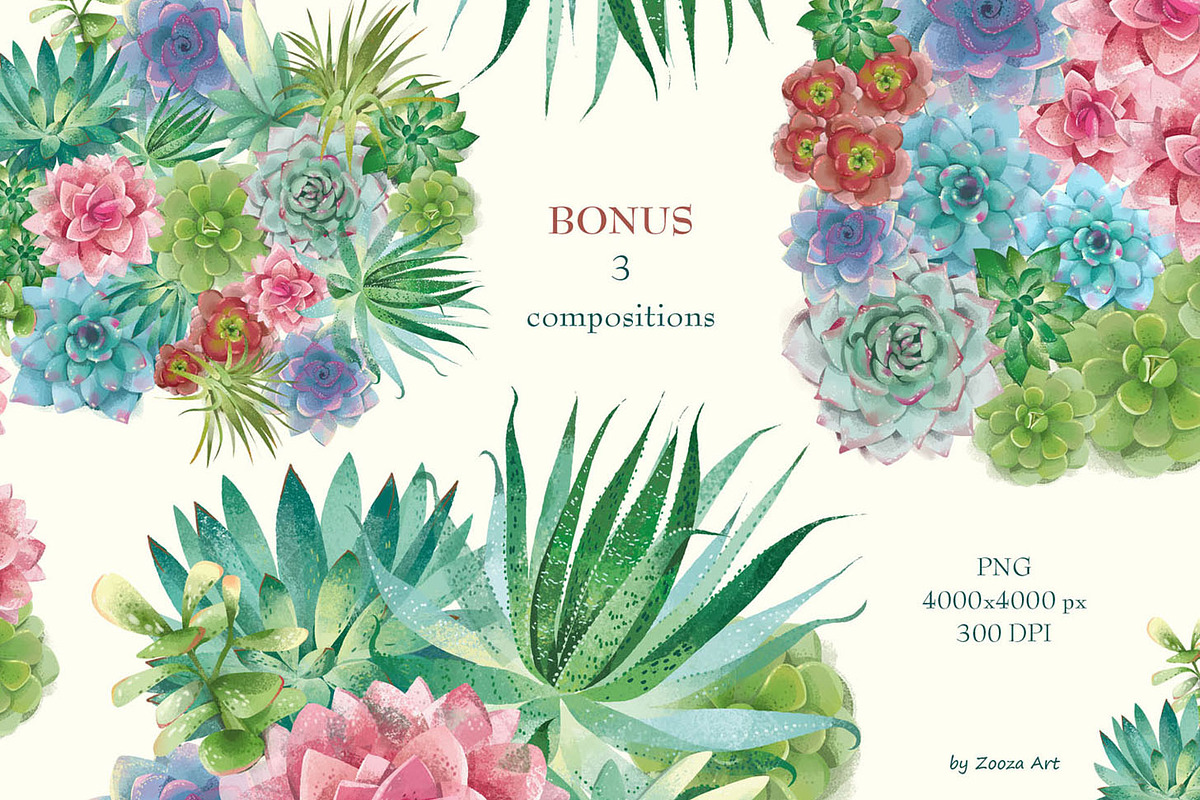 Succulents: 12 images, 6 patterns, an Illustration by Zooza Art (Photo 7 of 9)