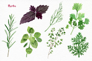 Watercolor vegetables and herbs, an Illustration by Elegantia (Thumbnail 7 of 7)