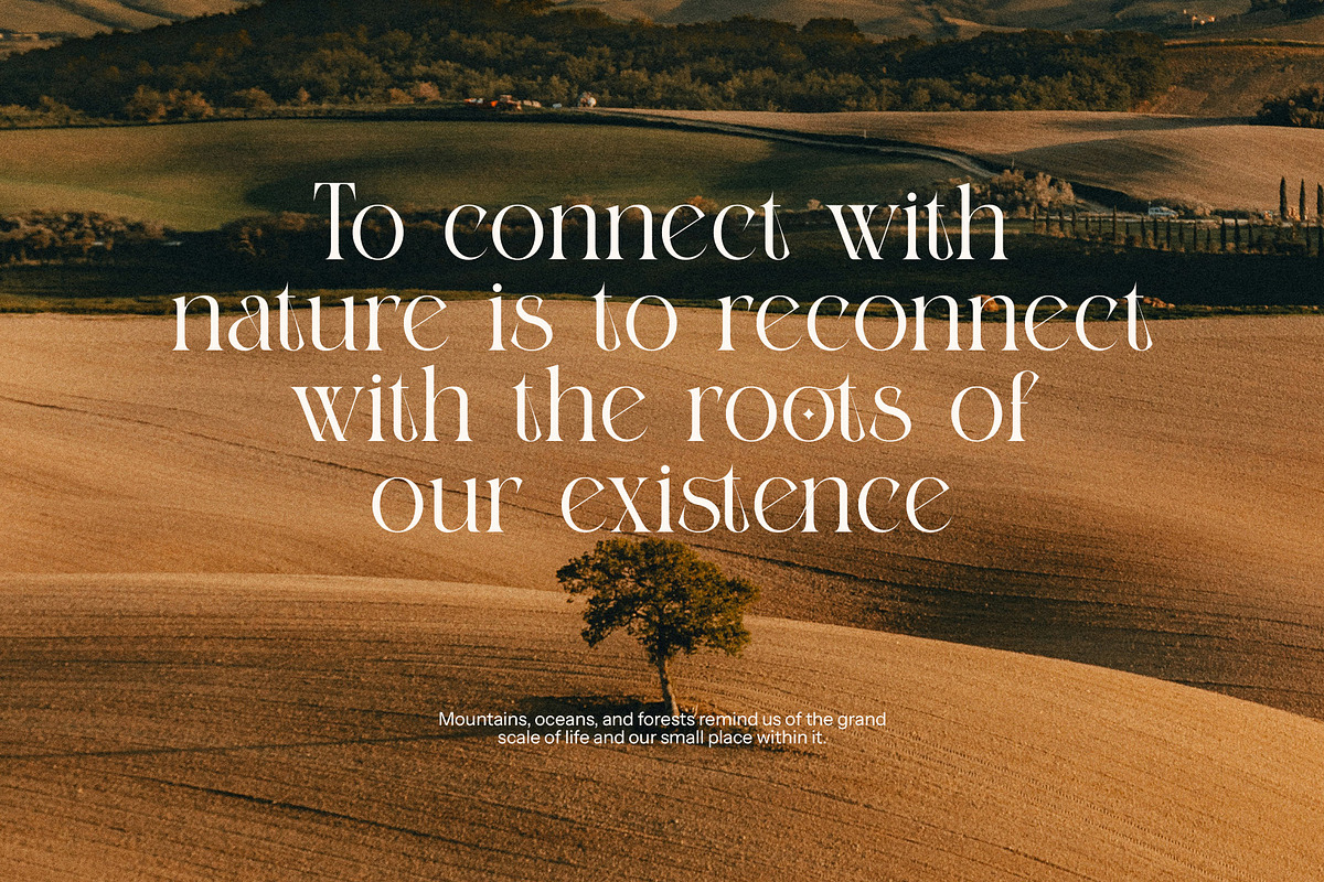 Gotam Elegant Serif Font, a Serif Font by Perfectype (Photo 6 of 8)