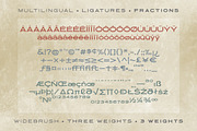 Widebrush, a Sans Serif Font by ArtisanType (Thumbnail 6 of 7)