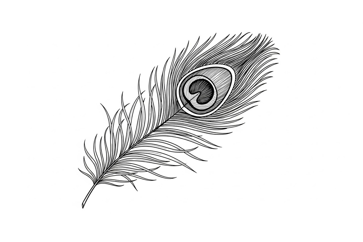 Peacock Feather Silhouette Bundle, an Illustration by jahid234 (Photo 17 of 31)