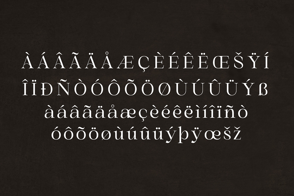 Gold & Song Modern Serif Font, a Serif Font by Storytype Studio (Photo 13 of 15)
