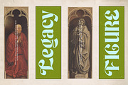 Maker Today Modern Retro Serif, a Serif Font by timelesstype.co (Thumbnail 5 of 15)