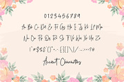 Bridgestown - Monoline Font, a Script Font by Balpirick Studio (Thumbnail 6 of 7)