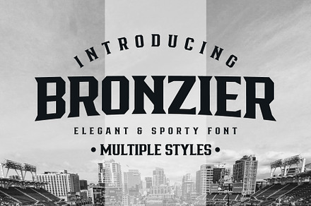 Bronzier Font Family, a Slab Serif Font by Arterfak Project