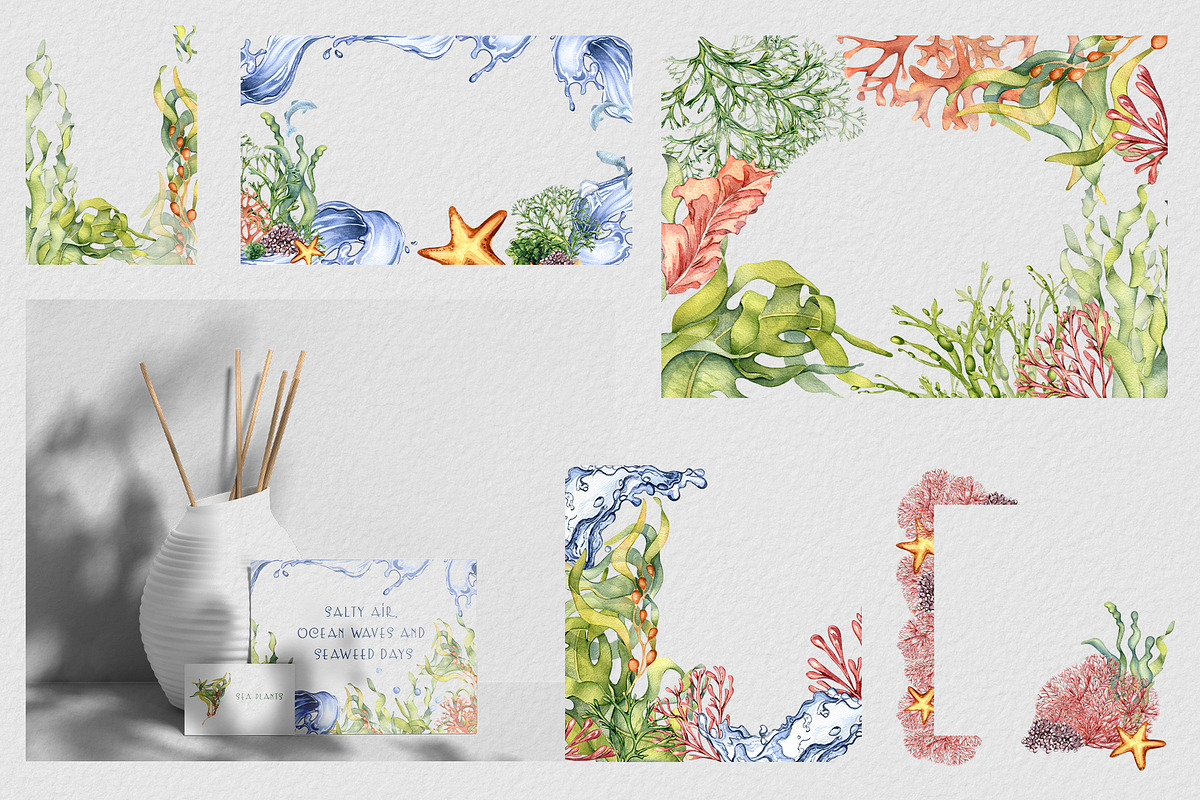 Sea plants watercolor collection, an Illustration by Kate Lanbina (Photo 8 of 18)