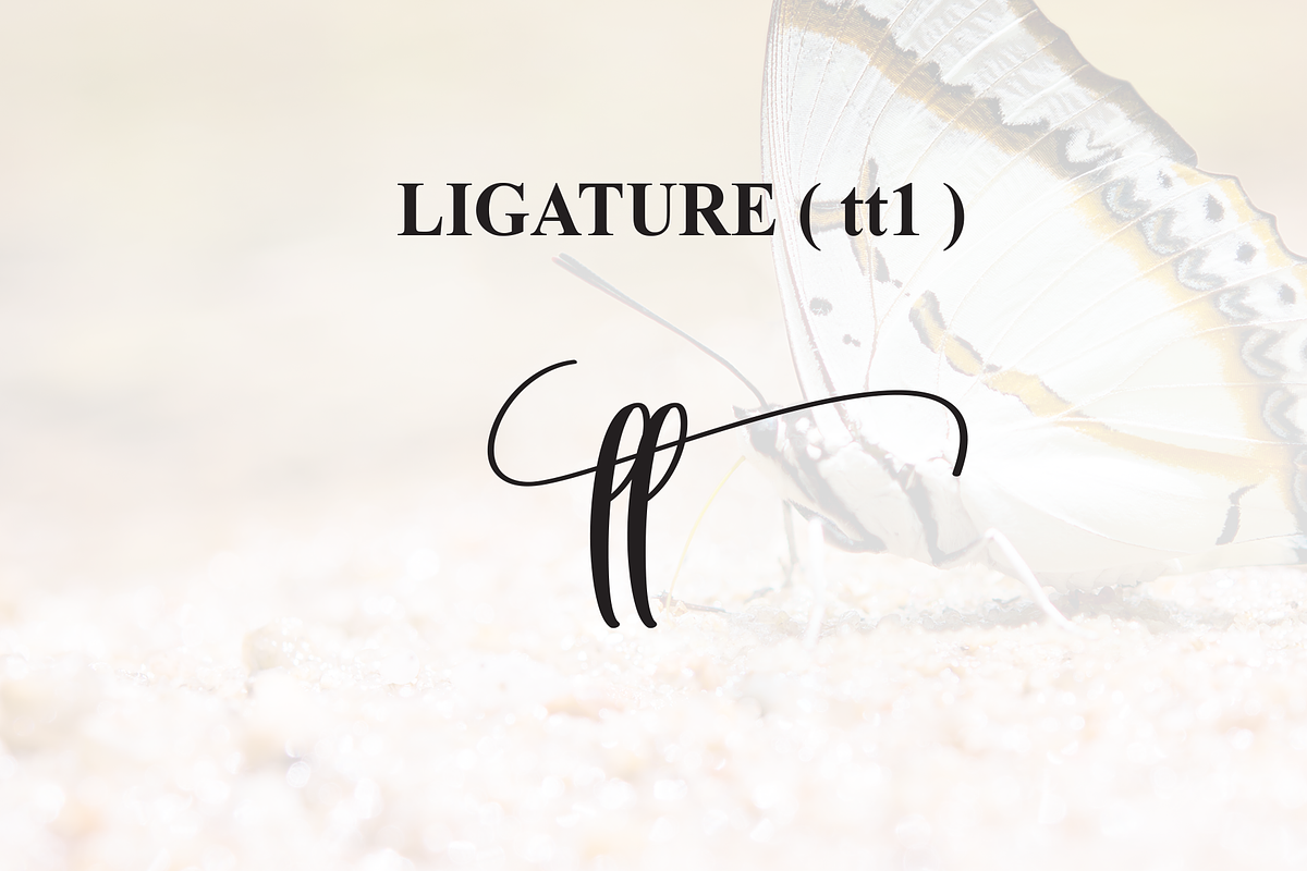 Butterflies | Script Font, a Handwritten Font by Scratchones (Photo 8 of 9)