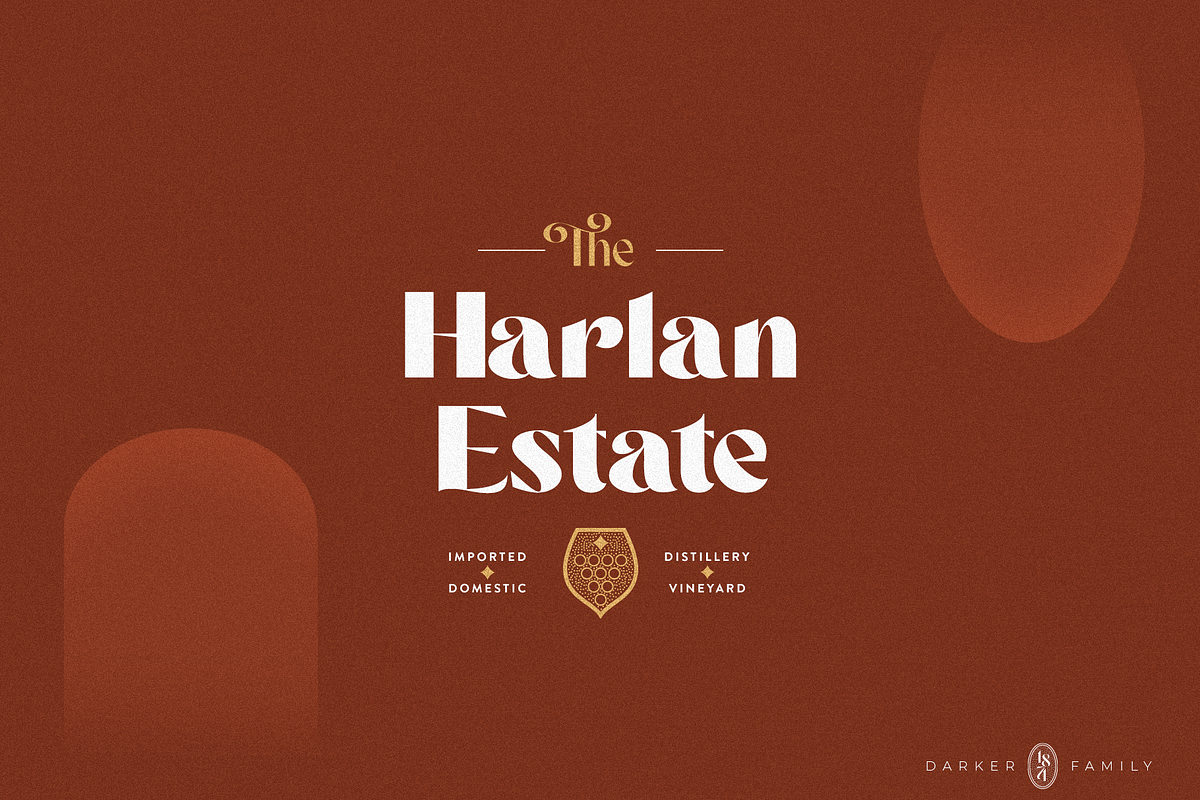 Darker Sans Serif + Extras, a Sans Serif Font by 1871 Project (Photo 12 of 12)