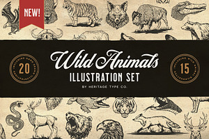 Wild Animals - Illustration Set