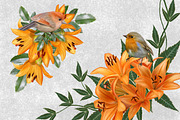 World of birds and flowers Part2, an Animal Illustration by SokolovaSv (Thumbnail 2 of 5)