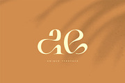 Bilea - Unique Brilliant Font, a Serif Font by suhadidesign (Thumbnail 12 of 14)