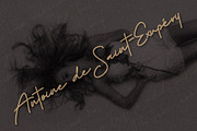 Budapest Script Font ( 6 Fonts ), a Script Font by Digital Hustler (Thumbnail 5 of 10)
