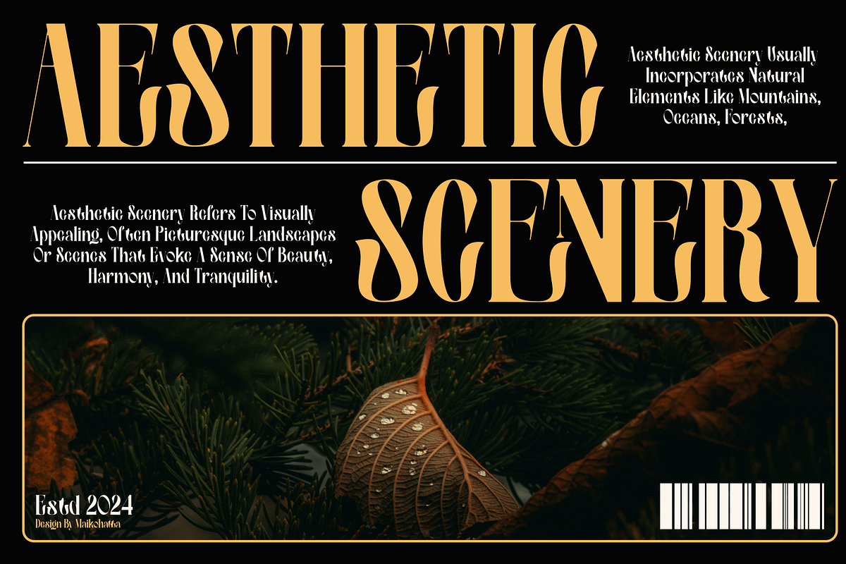 Cienur - Serif Luxury Typeface, a Serif Font by MaikoHatta (Photo 4 of 7)