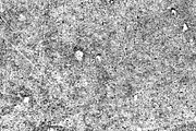 GSTC - Stone bench textures, a Texture Graphic by The Shop (Thumbnail 38 of 80)