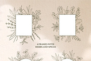 Hand drawn herbs and spices, an Object Illustration by RaDavCrafts (Thumbnail 4 of 7)