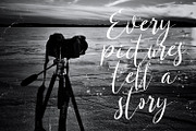 Shanti Creny - Modern Script Font, a Script Font by StringLabs (Thumbnail 7 of 12)