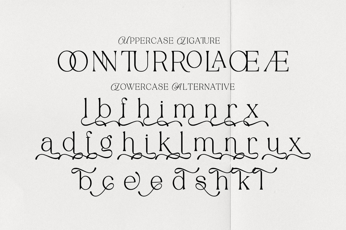 Tenopate, a Serif Font by Pista Mova (Photo 18 of 20)