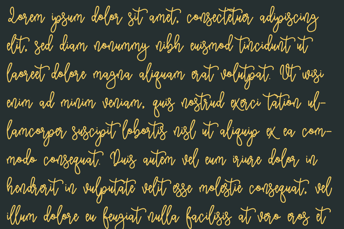 Soxcel Flange Script Font preview 4