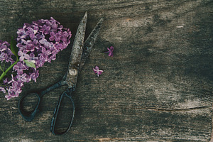 bunch of lilac