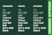 Sengklec - Display Family Font, a Serif Font by Differentialtype (Thumbnail 7 of 12)