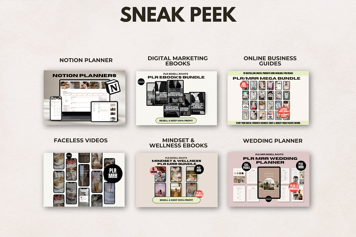 150+ PLR MRR Digital Products, a Presentation Template by The Thrive Society (Photo 4 of 10)