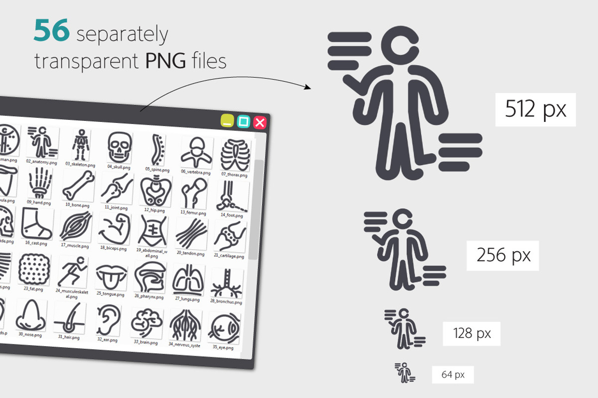 Anatomy Line Icons Set, an Outline Icon by Voysla's Shop (Photo 3 of 4)