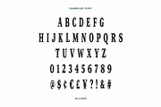 Hamidlak Font Duo Serif Signature, a Script Font by Maulana Creative (Thumbnail 7 of 7)