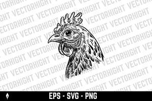 Illustration of chicken in engraving, an Animal Illustration by Vectorhight