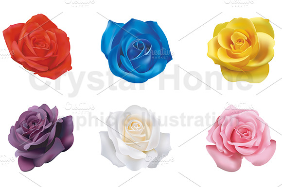 6 Realistic Rose Icons Set