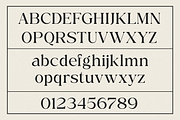 Ethereal Glamour - The Elegant Serif, a Serif Font by Say Studio (Thumbnail 11 of 12)