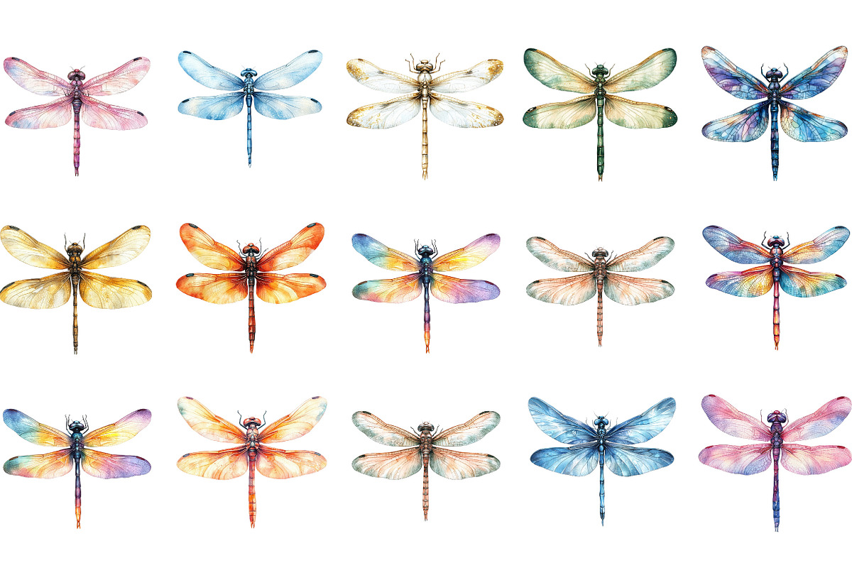 Dragonfly Clipart Bundle, an Illustration by Designking (Photo 2 of 5)