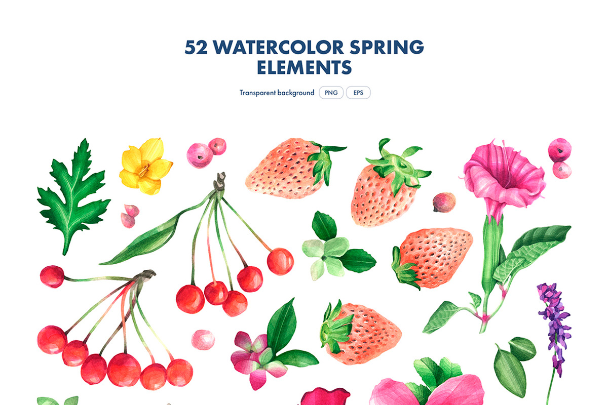 Spring Plants, an Object Illustration by Manuka (Photo 3 of 7)