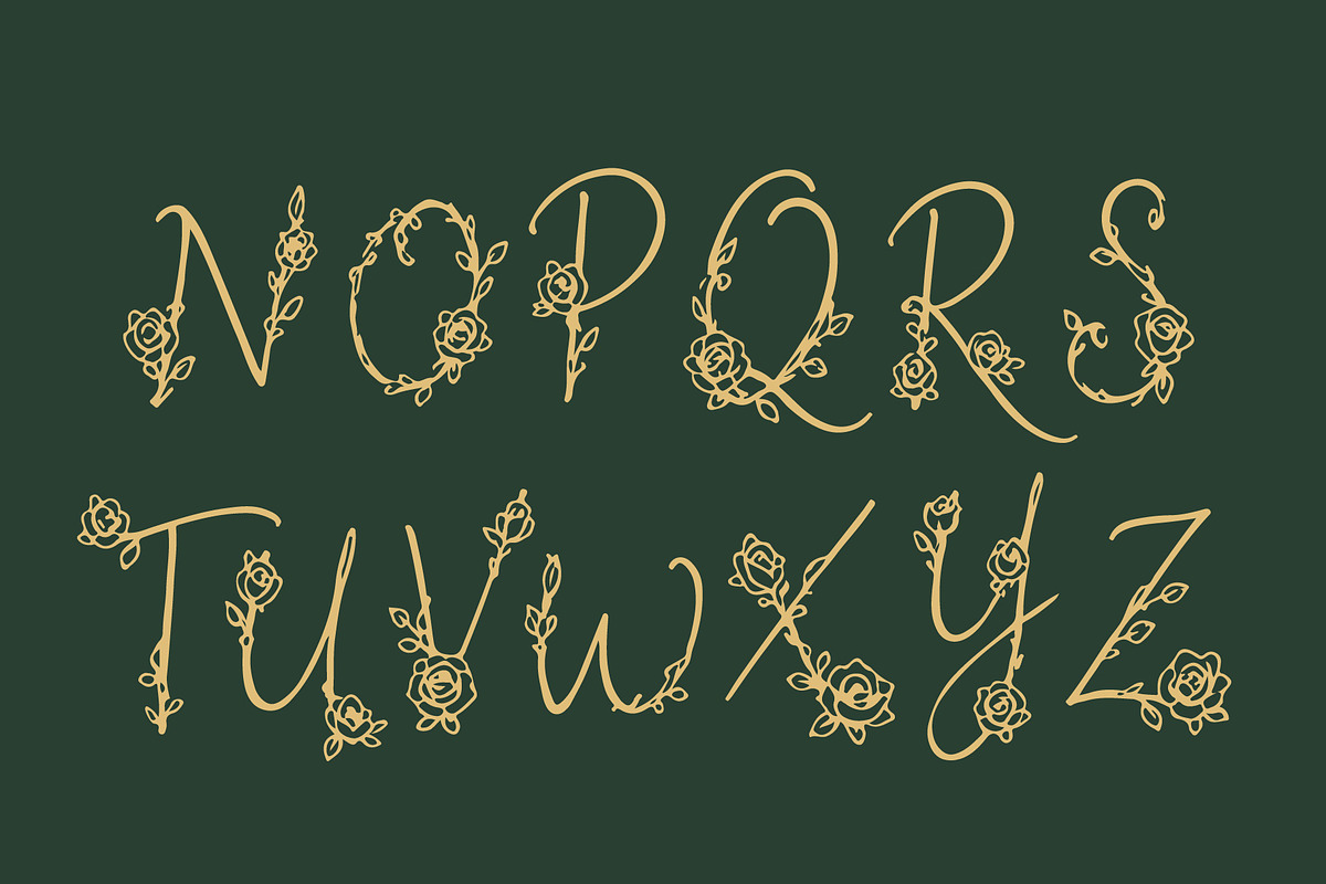 HoneiMoylavi, Delicate Floral Script, a Script Font by HypeWorksCo (Photo 17 of 19)