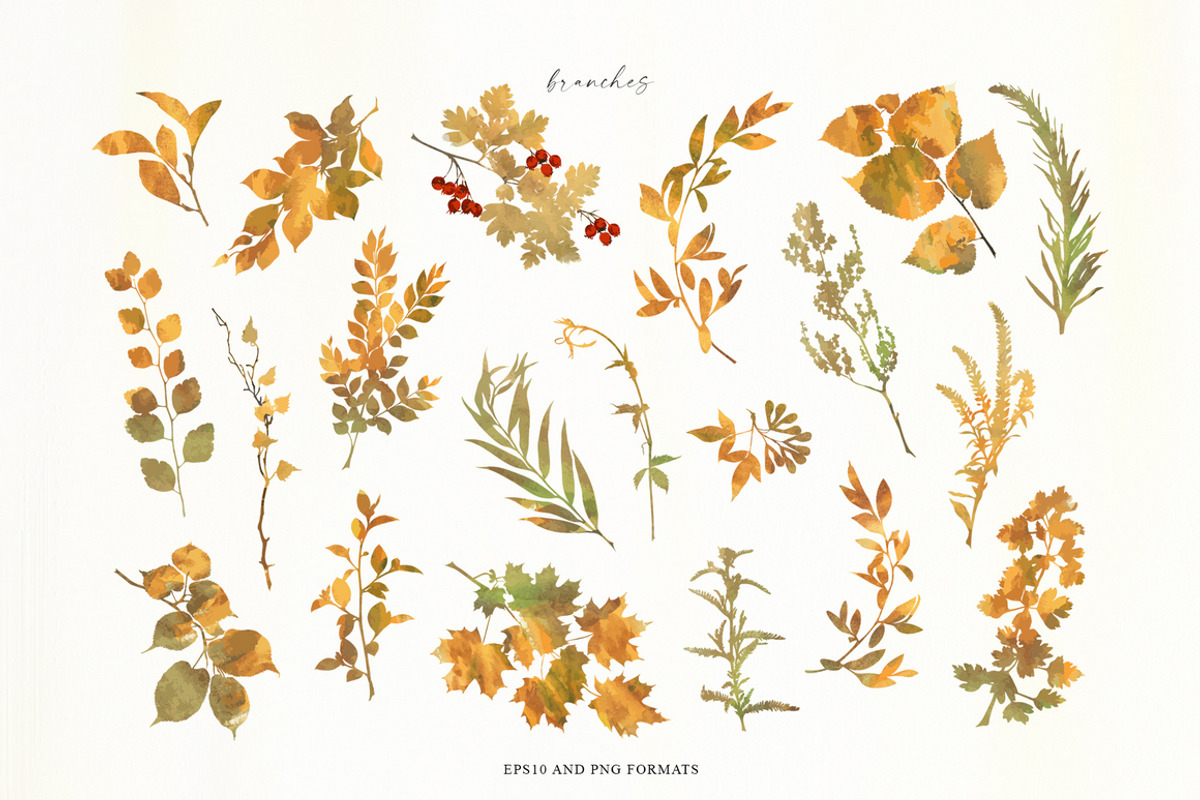 Autumn sentiment - vector clipart, a Decorative Illustration by Vasmila (Photo 10 of 14)