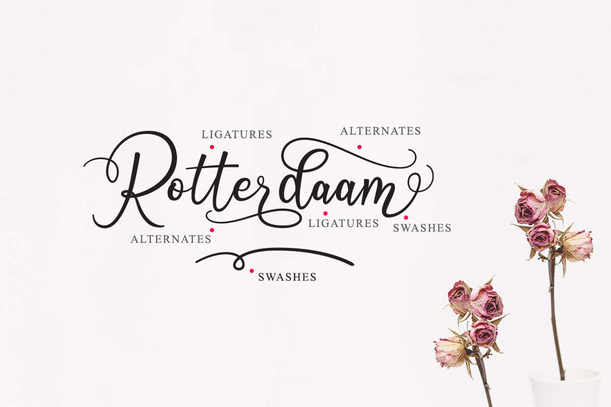 Octhovia Font Duo and Extras preview 7