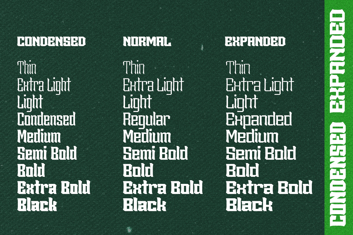 Sengklec - Display Family Font, a Serif Font by Differentialtype (Photo 7 of 12)