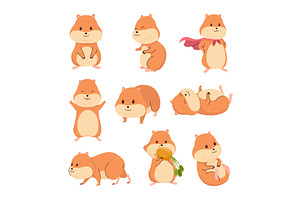 Cartoon hamsters set. Fluffy, an Animal Illustration by the8monkey
