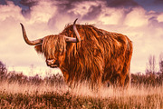 300 Professional Lightroom Presets, an Action Add-On by Madison Colt Studios (Thumbnail 23 of 29)